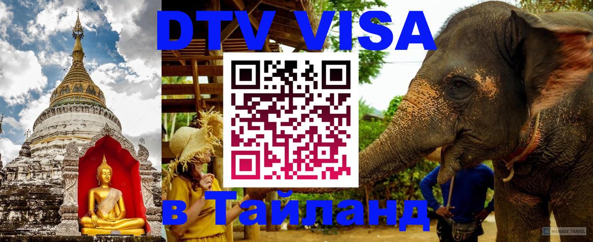 Оформить DTV визу в Тайланд Тамбов 